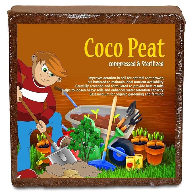 Coco Peat Quality Plants Grow – Must-Have Gadget | Amzy Gadgets